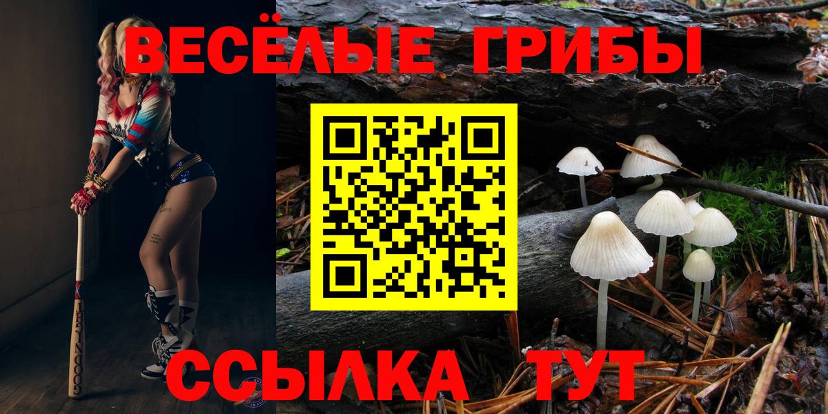 Псилоцибиновые грибы MAGIC MUSHROOMS  Псилоцибиновые грибы GOLDEN TEACHER  Вход с VPN  Чистополь 